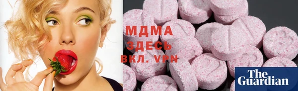 шишки Богородицк