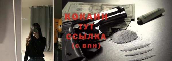 шишки Богородицк