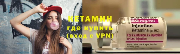 шишки Богородицк