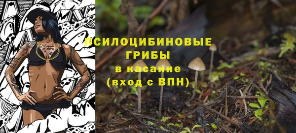 Альфа ПВП Богородск