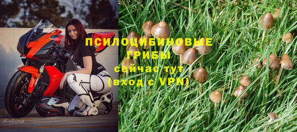 Альфа ПВП Богородск