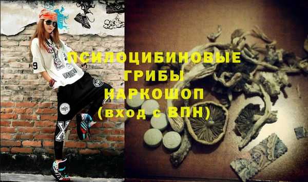 apvp Богданович