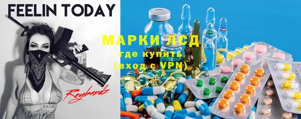шишки Богородицк