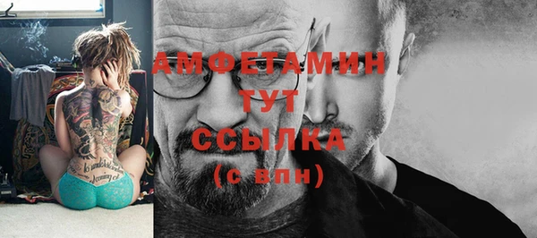 шишки Богородицк